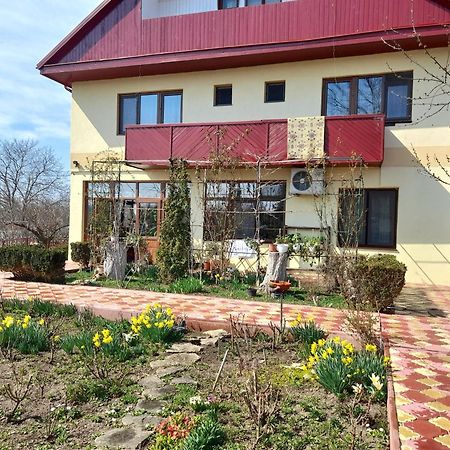 Pensiunea Anda Tulcea Exterior foto