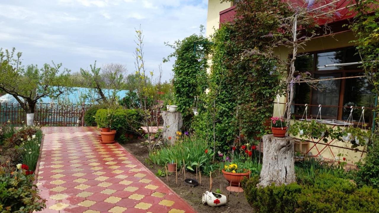 Pensiunea Anda Tulcea Exterior foto