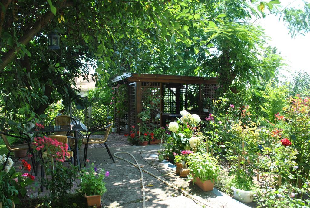 Pensiunea Anda Tulcea Exterior foto